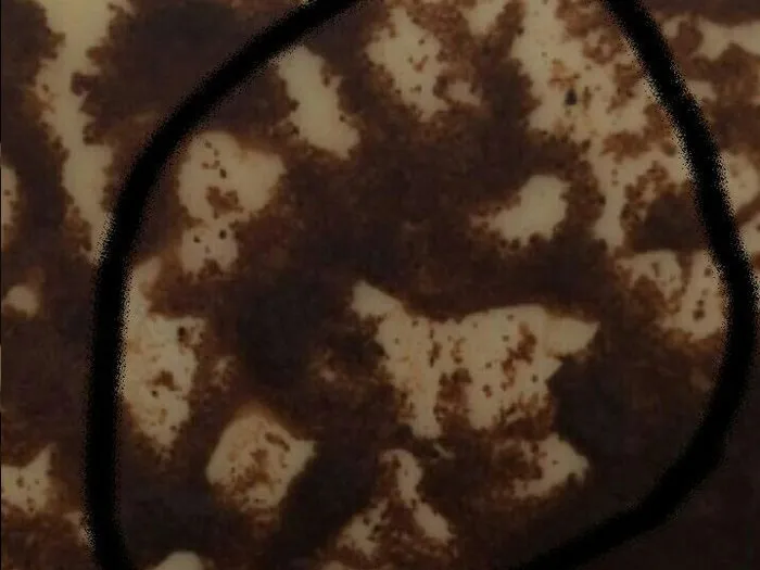 Запись на прием к гадалке в Сыктывкаре